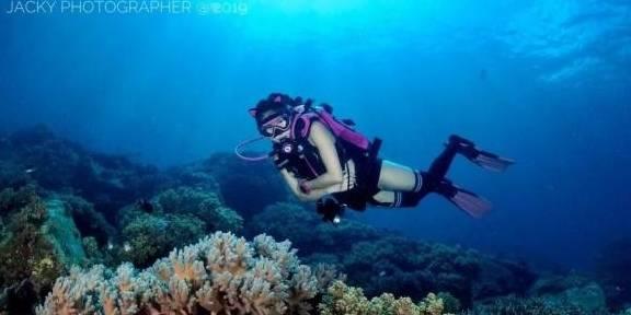了解请问下图出自哪部日本动漫?,打造知识星球的乐园